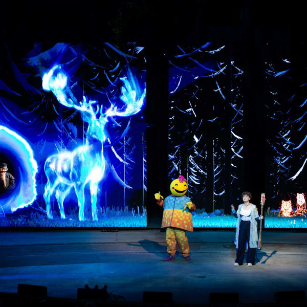 Le Spectacle Nocturne Ilia