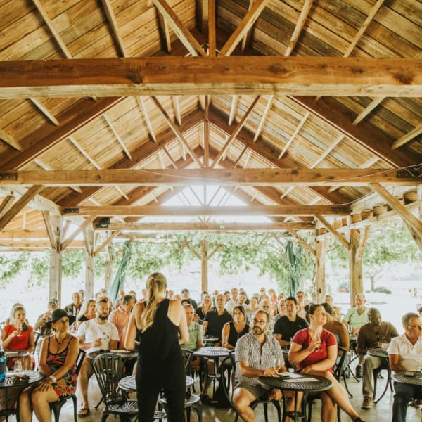 Domaine du Ridge : wine tasting
