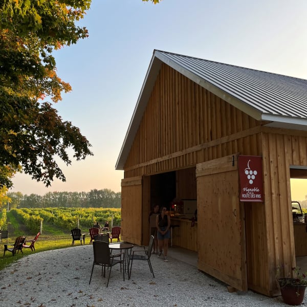 Vignoble Le Di-Vin