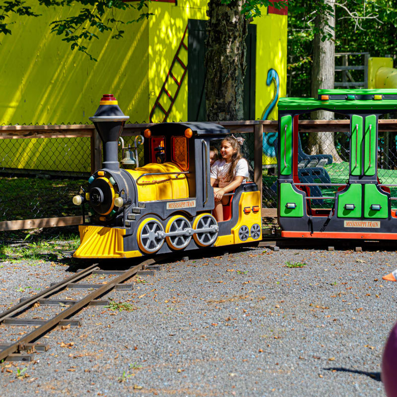 Petit train