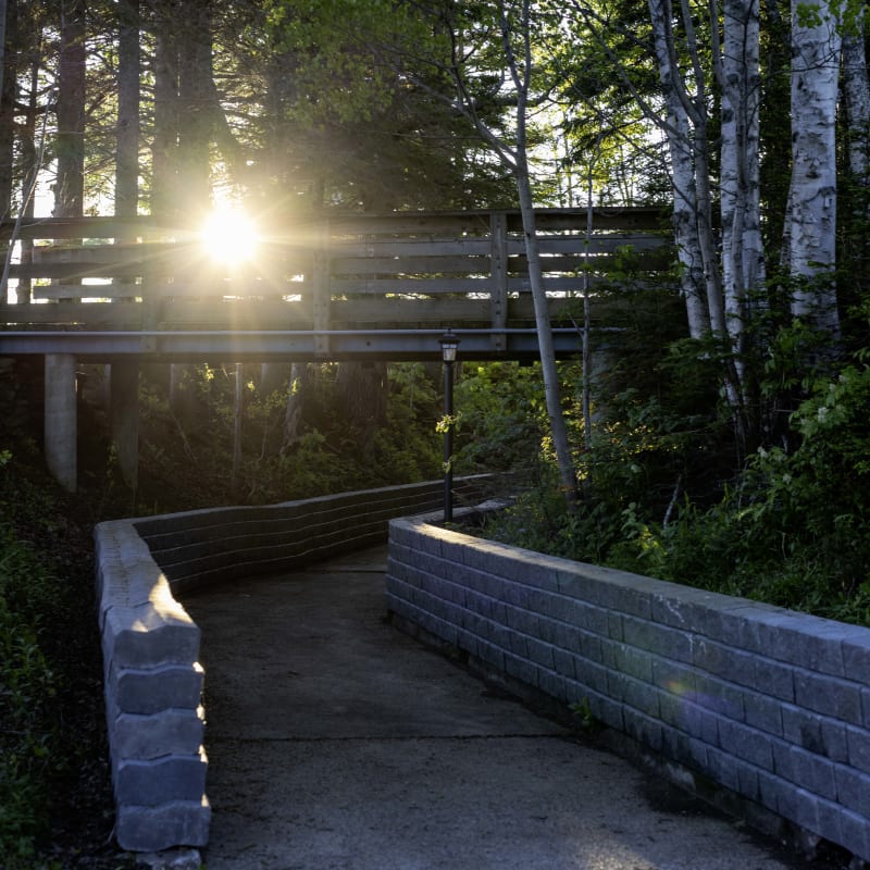 Un sentier bordé de murs fortifiés traverse la nature. Plus haut, une passerelle en hauteur surplombe le sentier.