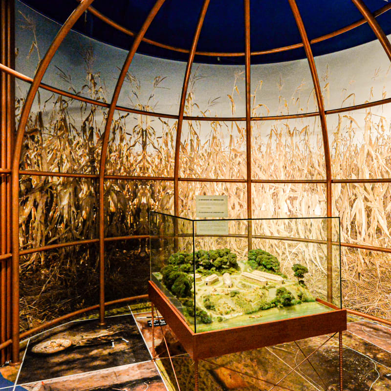 Exposition au Biophare.
