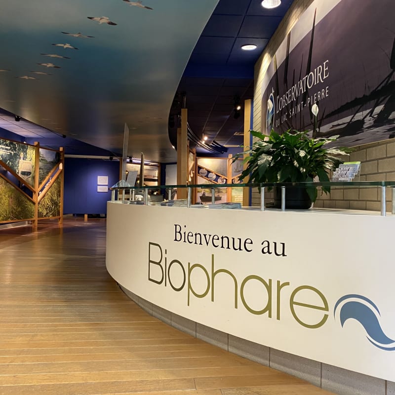 Bureau d'accueil du musée Biophare.