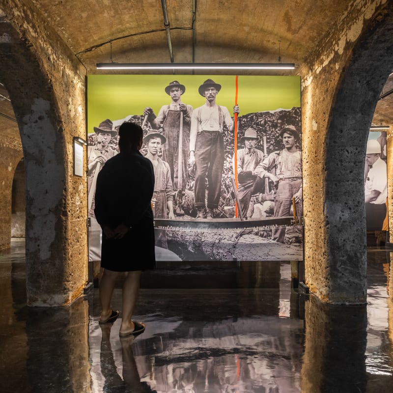L’exposition Transformations