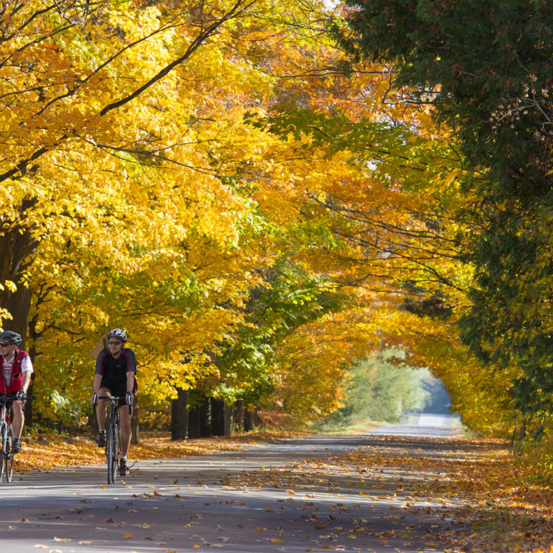 Deux cyclistes sur une route dans Brome-Missisquoi l'automne.