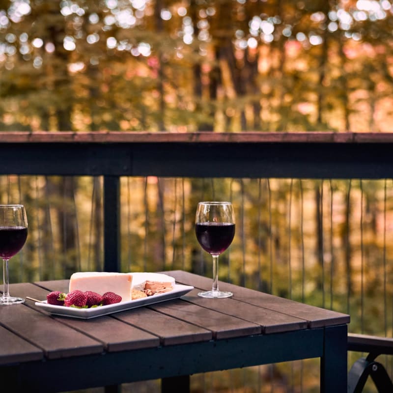 Deux verres de vin et une assiette sur la terrasse d'un chalet chez Cabin Sutton.