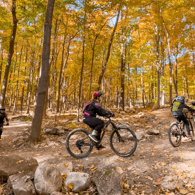 Vélo de montagne en automne au Mont-Rigaud