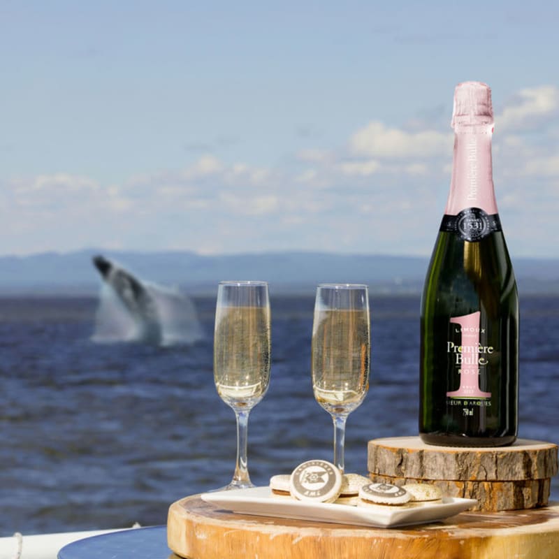 Bouteille de champagne et deux flutes remplies posées sur une table, avec une baleine qui émerge de l'eau en arrière-plan.