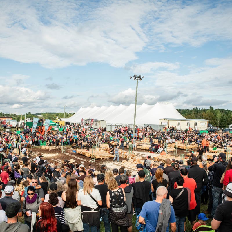 Festival du bûcheux de Saint-Pamphile