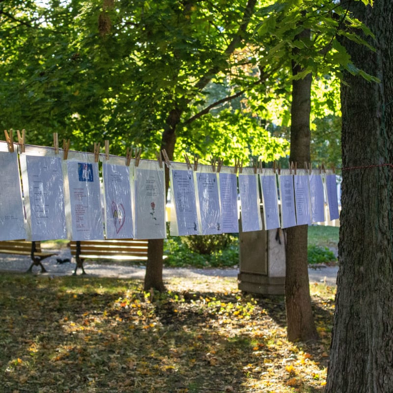 Feuilles sur une corde à linge