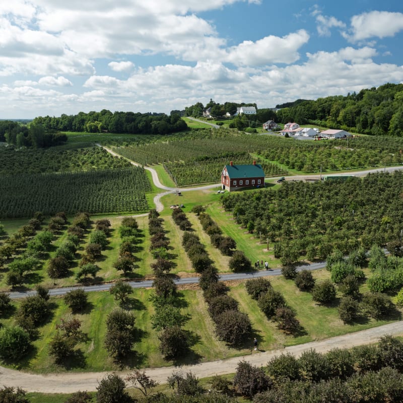 Vue aérienne d'une exploitation agricole avec vignes et arbres à fruits.