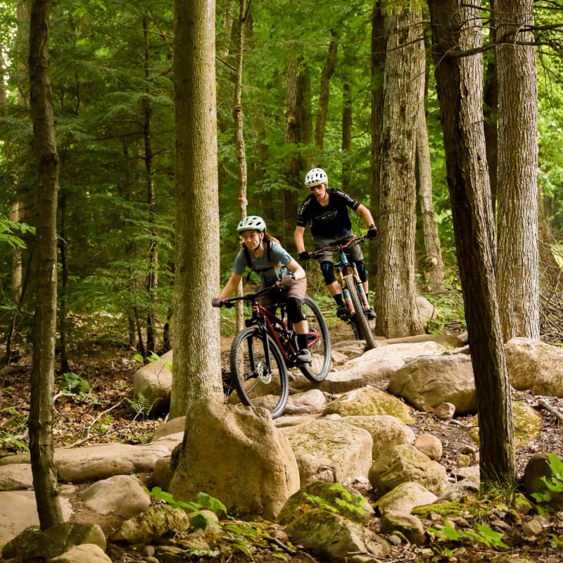 Deux personnes en train de faire une descente de vélo de montagne.