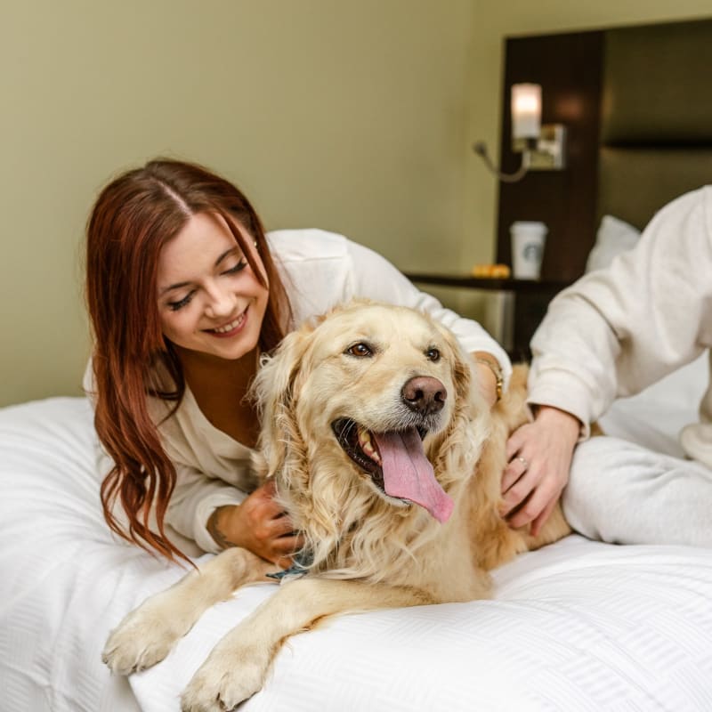 A woman with her dog on a bed at the Hôtel Levesque
