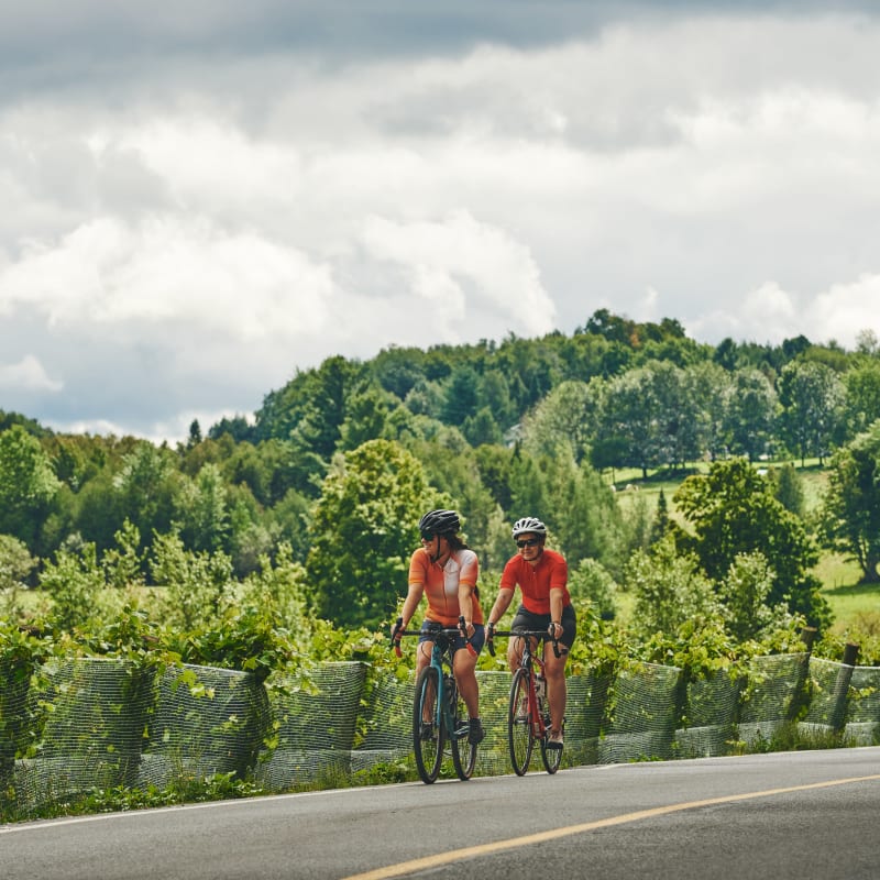 Deux personnes à vélo sur un route asphaltée bordée de vignes.