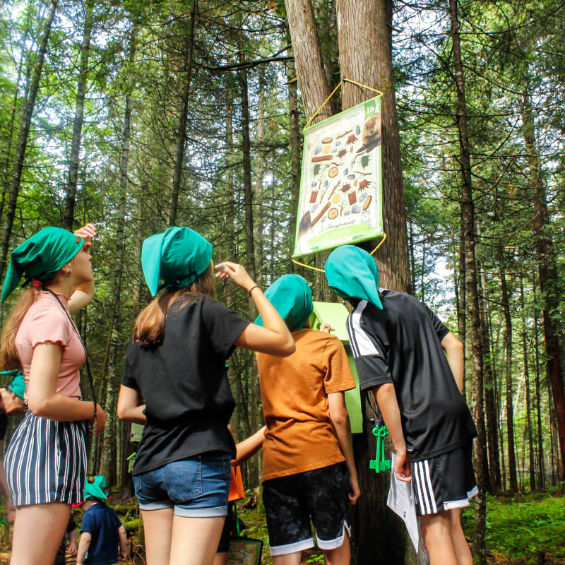 Enfants avec des chapeaux de gnomes en chasse au trésors dans la forêt.
