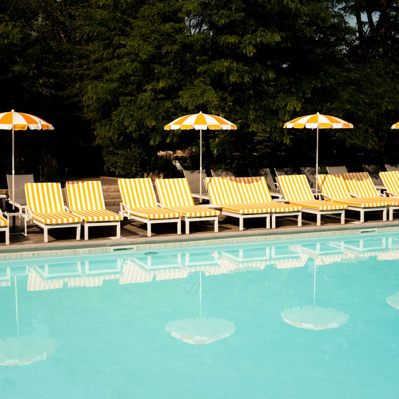 Chaises longues et parasols au bord de la piscine au Sun Club du Manoir Saint-Sauveur.