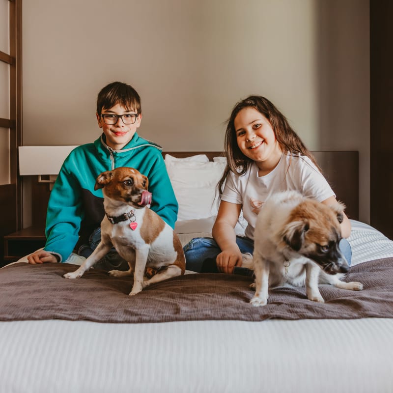 Deux enfants et deux chiens sur un lit du Microtel Inn & Suites Mont-Tremblant.