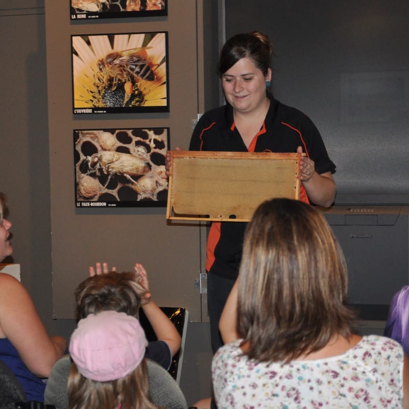 Présentation sur les abeilles à la Miellerie Lune de Miel.