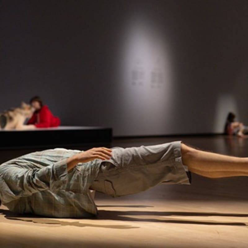 Pièce de l'exposition Hyperréalisme au MNBAQ. 