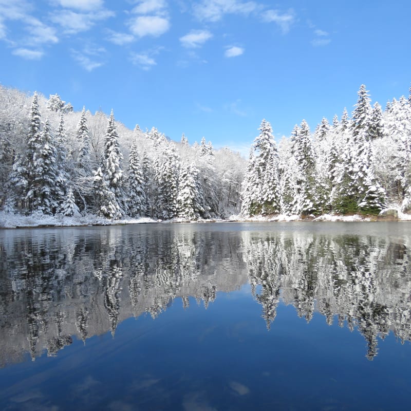 Le Parc national de la Mauricie en hiver.