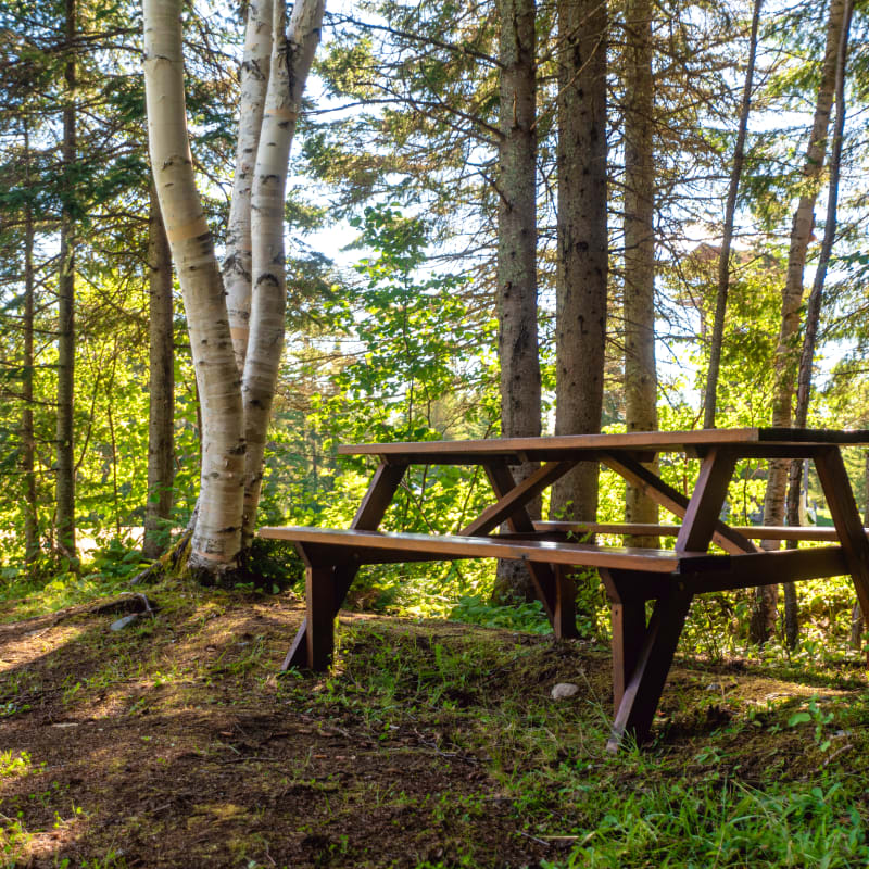camping_ermitage_saint_antoine_4