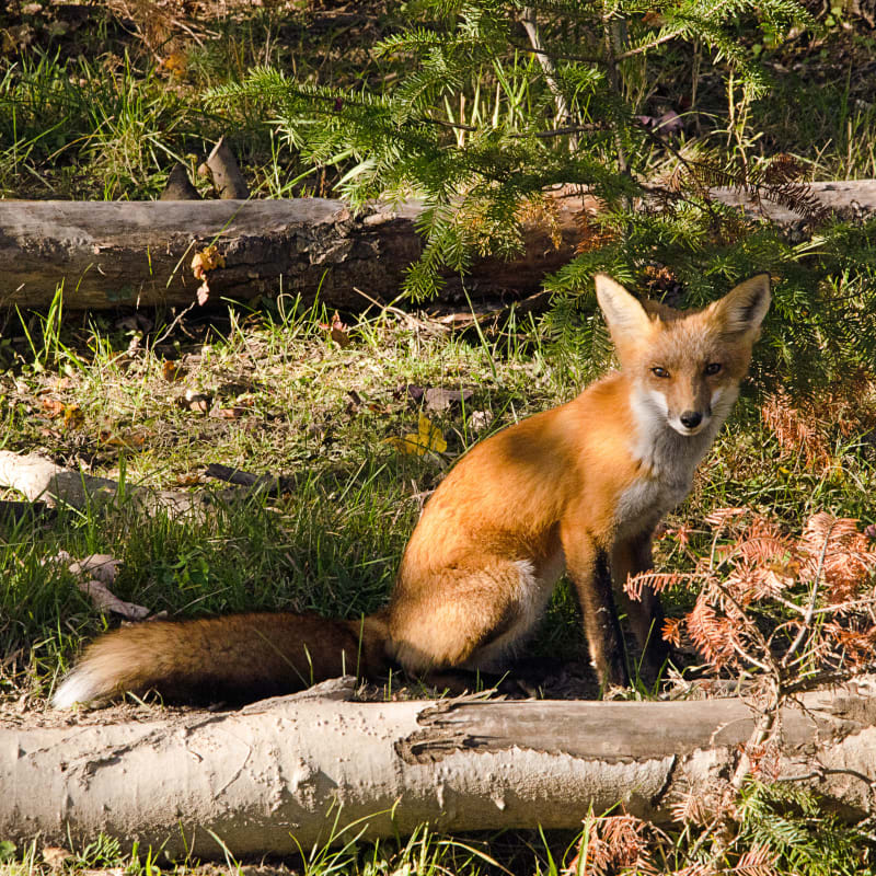 parc_omega_5