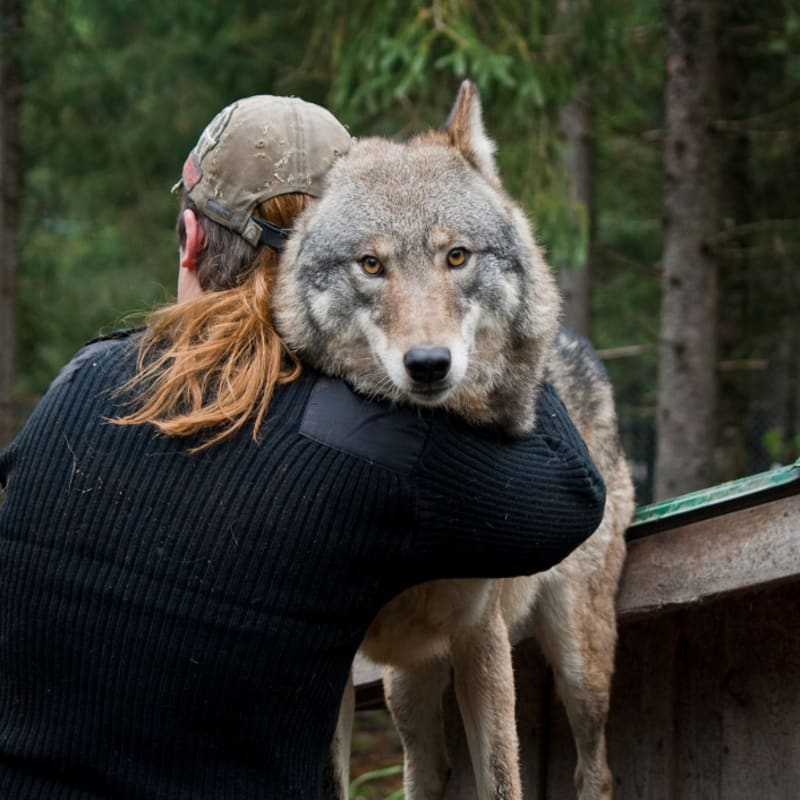 refuge_pageau_8