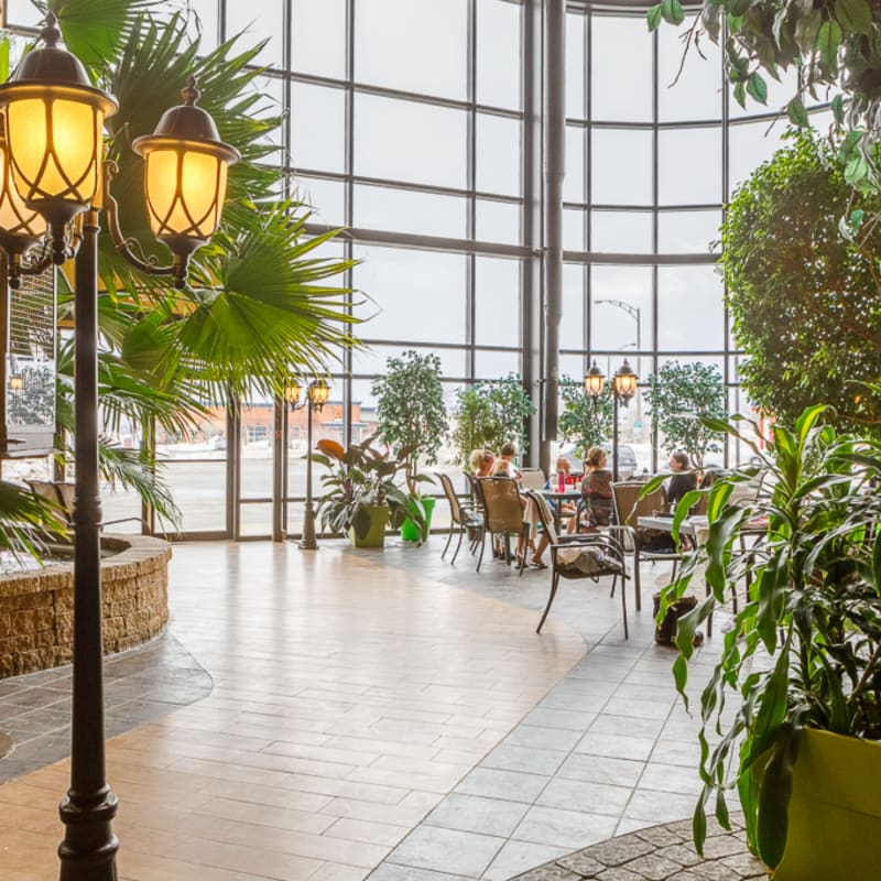 Atrium au décor exotique de l'Hôtel Ambassadeur