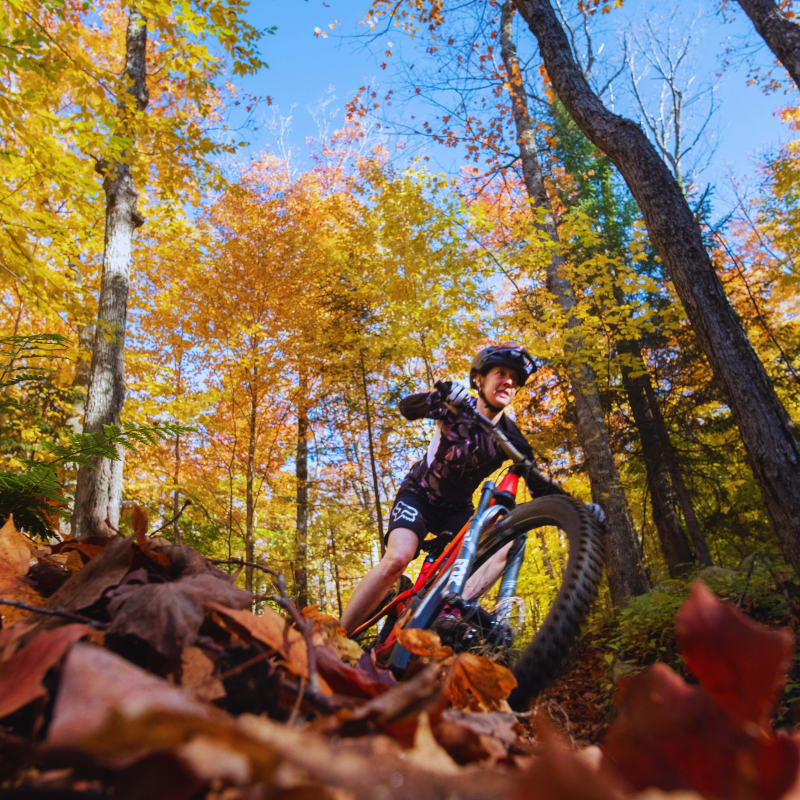 Vélo de montagne en automne au parc régional Montagne du Diablee