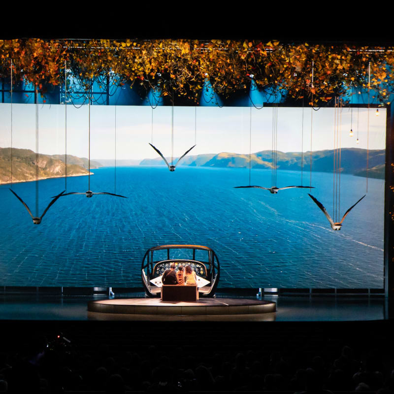 Visuel du spectacle FJORD