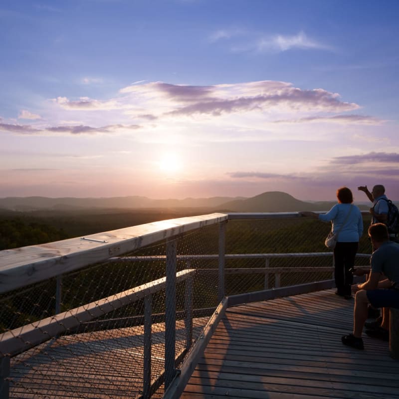 Vue au sommet de la tour panoramique du Sentier des cimes Laurentides.