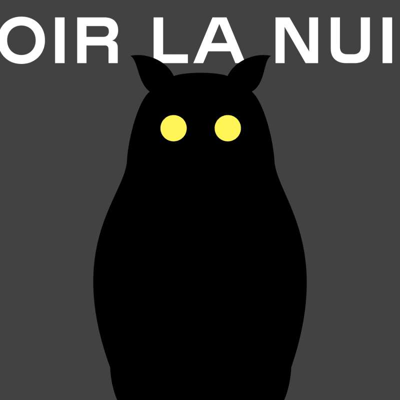 Voir la nuit