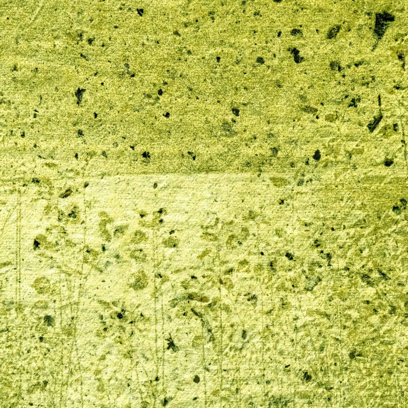 Oeuvres végétale de l'exposition Phytorésiliences