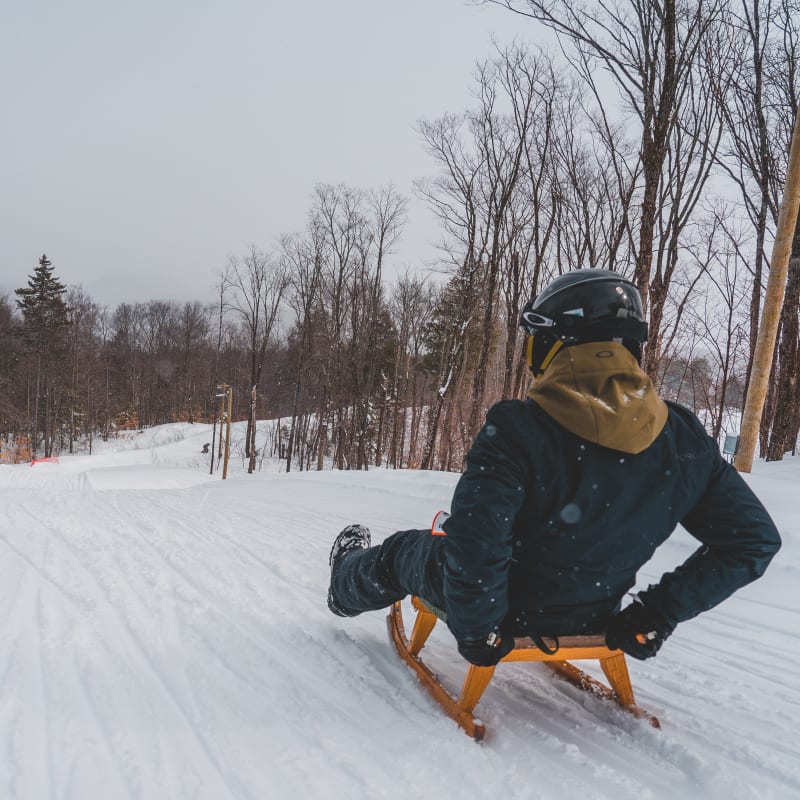 Luge alpine.
