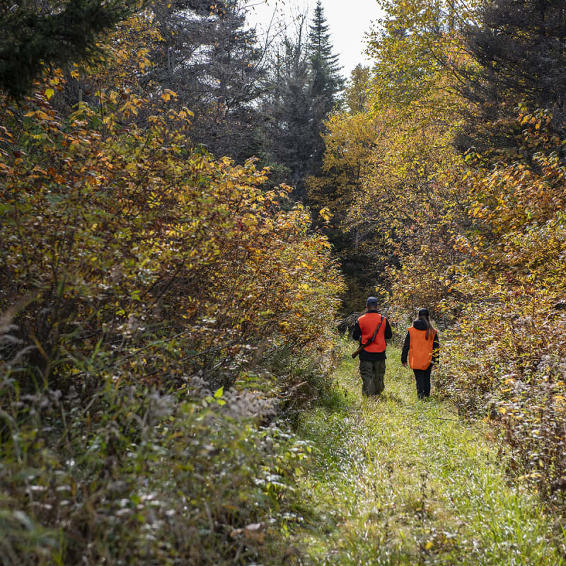 Deux personnes en gilets de chasse orange.