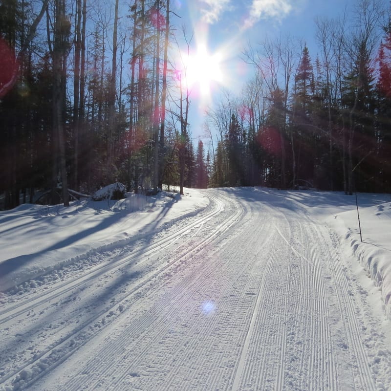 Large piste de ski de fond sous un soleil brillant.