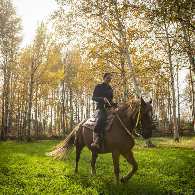 Horseback riding in Côte-Nord.