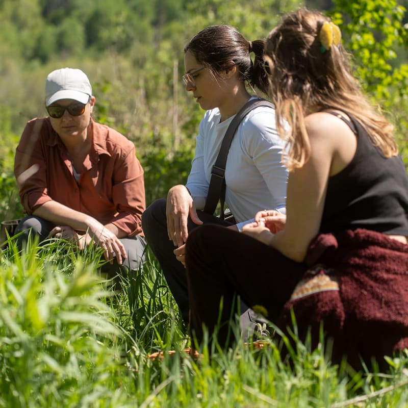 Cœur Sauvage - Three people crouching down to forage for wild plants.
