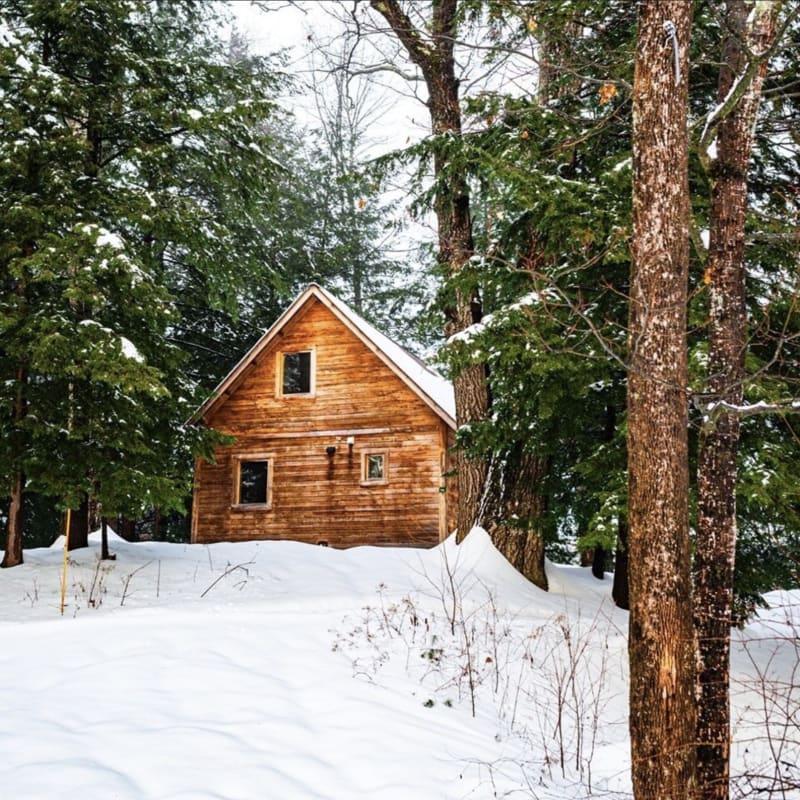 Chalet en bois entouré d'arbre en hiver chez Huttopia - Les Deux Lacs
