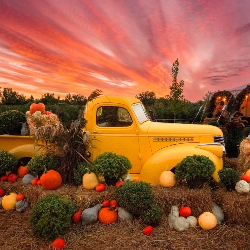 Camion à la Ferme Marineau de Laval en automne.