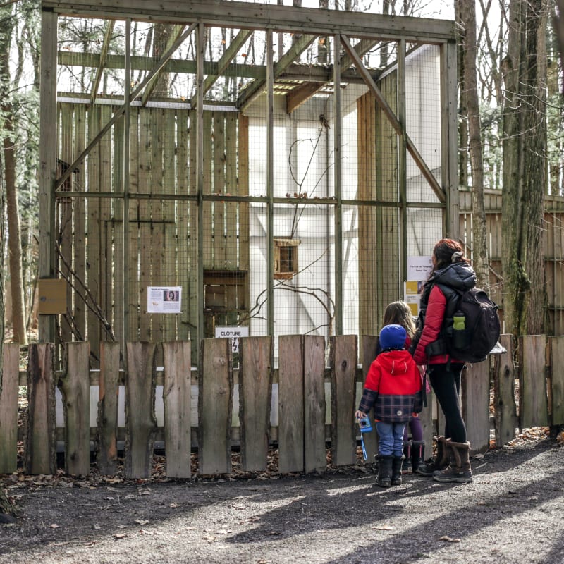 Mère et enfant en visite chez Chouette à voir!