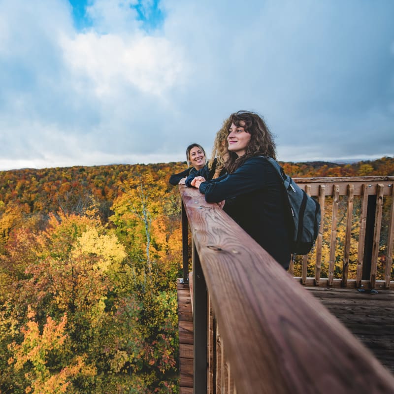 3 femmes en randonnée qui admirent le paysage d'un belvédère au Parc des Montagnes Noires de Ripon.