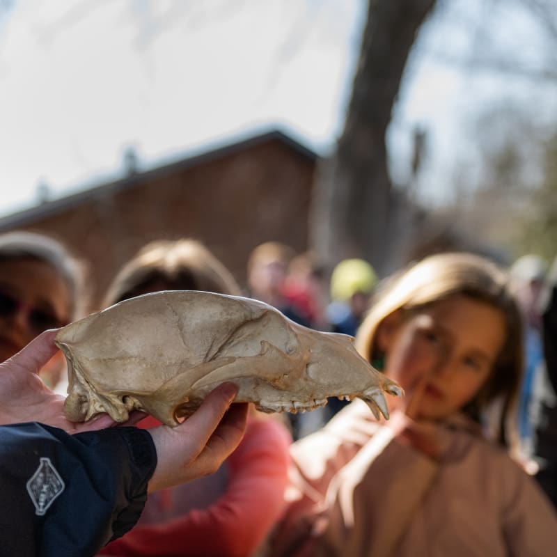 Zoo Ecomuseum